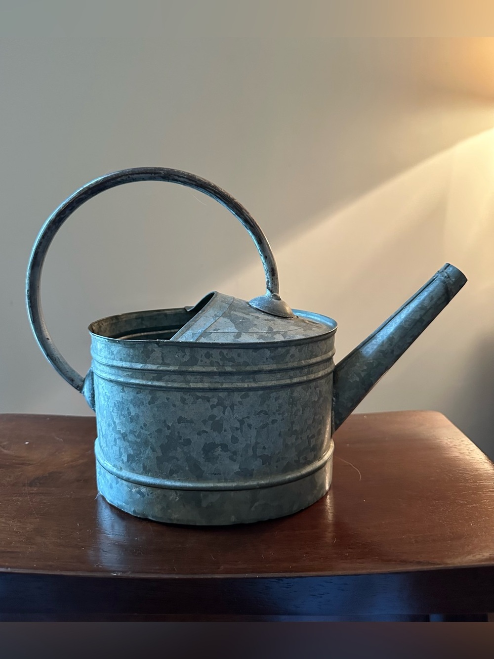 Galvanized vintage watering can • garden